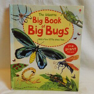 The Usborne Big Book of Big Bugs Hardcover